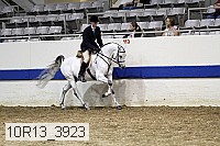 10r13_3923 proof