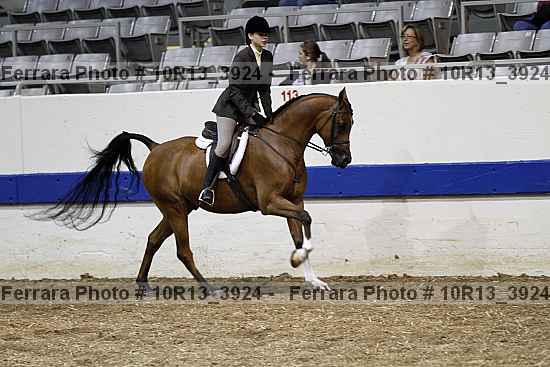 Proof 10r13_3924