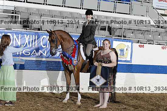 Proof 10r13_3934