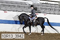 10r13_3942 proof