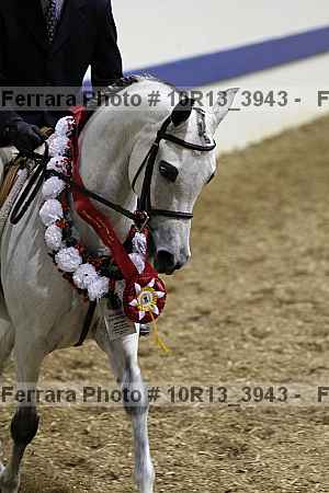 Proof 10r13_3943