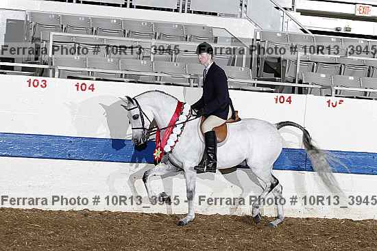 Proof 10r13_3945