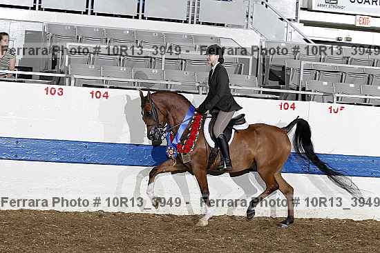 Proof 10r13_3949