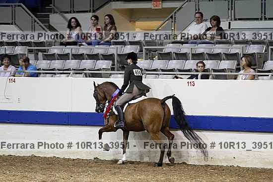 Proof 10r13_3951