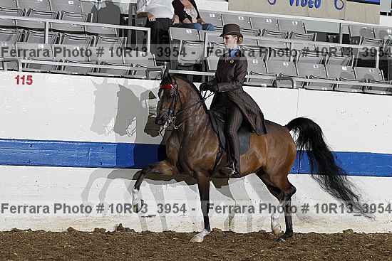 Proof 10r13_3954