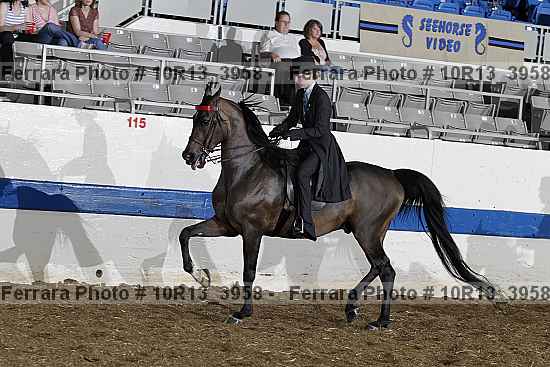 Proof 10r13_3958