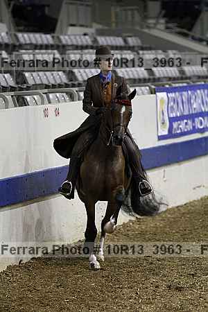 Proof 10r13_3963