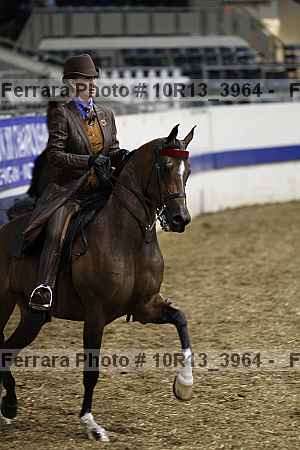 Proof 10r13_3964