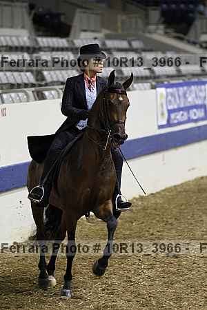 Proof 10r13_3966
