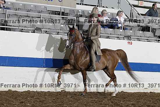 Proof 10r13_3971