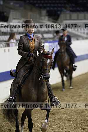 Proof 10r13_3977