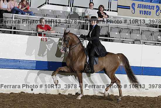 Proof 10r13_3978