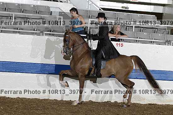 Proof 10r13_3979