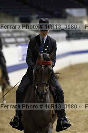 Proof 10r13_3980