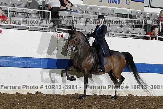 Proof 10r13_3981
