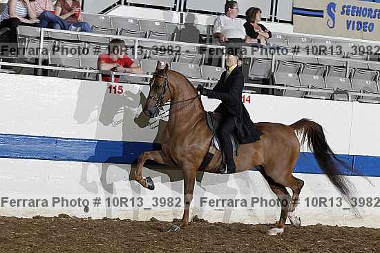 Proof 10r13_3982