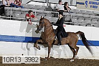 10r13_3982 proof