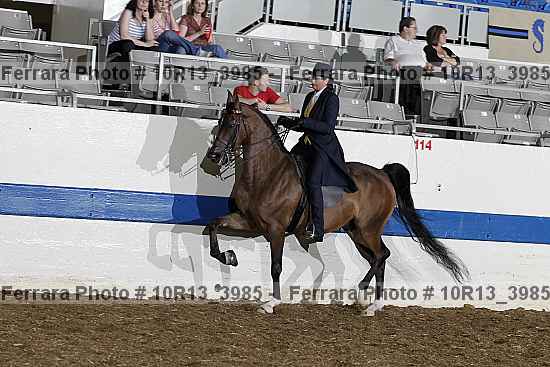 Proof 10r13_3985