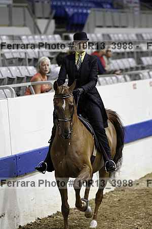 Proof 10r13_3988