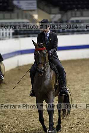 Proof 10r13_3994