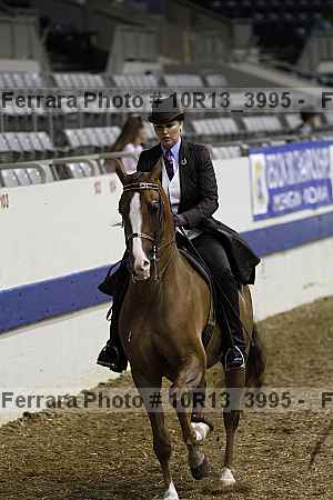 Proof 10r13_3995