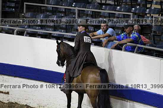 Proof 10r13_3996