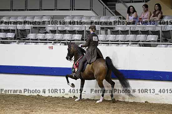 Proof 10r13_4015