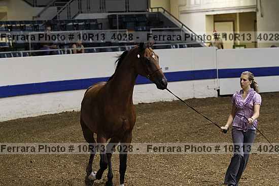 Proof 10r13_4028
