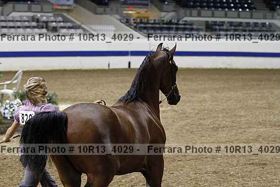 Proof 10r13_4029