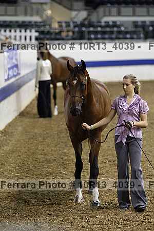 Proof 10r13_4039