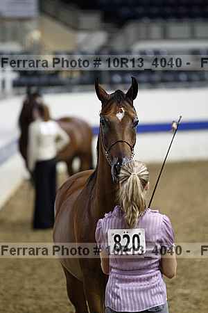 Proof 10r13_4040