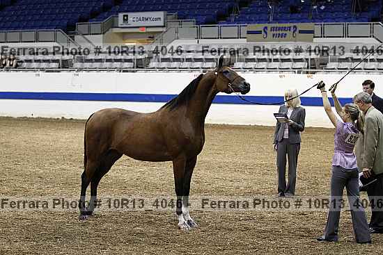 Proof 10r13_4046