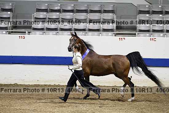 Proof 10r13_4060