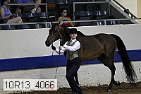 10r13_4066 proof