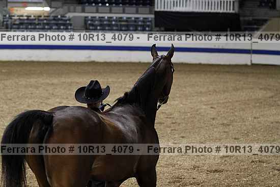 Proof 10r13_4079