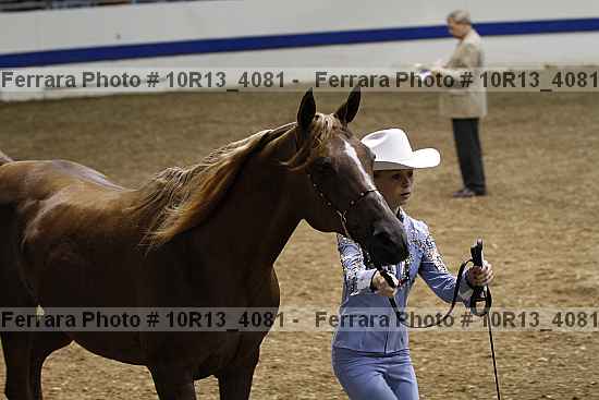 Proof 10r13_4081