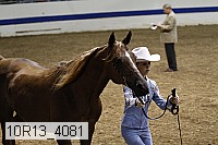 10r13_4081 proof