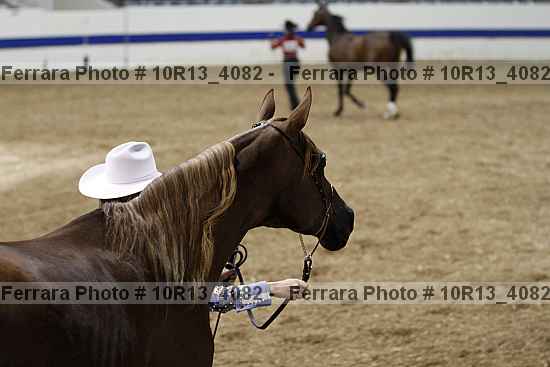 Proof 10r13_4082