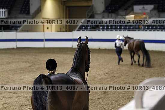 Proof 10r13_4087