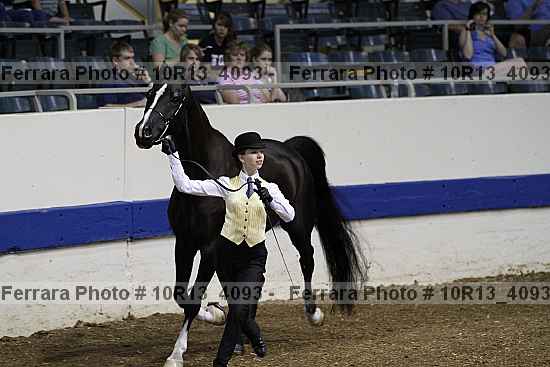Proof 10r13_4093