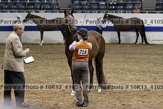 Proof 10r13_4105