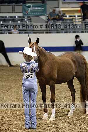 Proof 10r13_4135