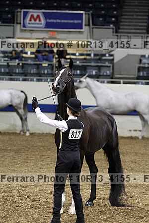 Proof 10r13_4155