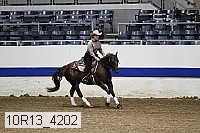 10r13_4202 proof