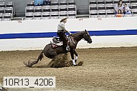 10r13_4206 proof