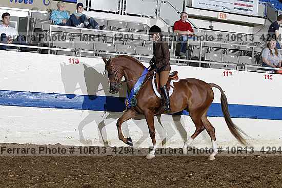 Proof 10r13_4294
