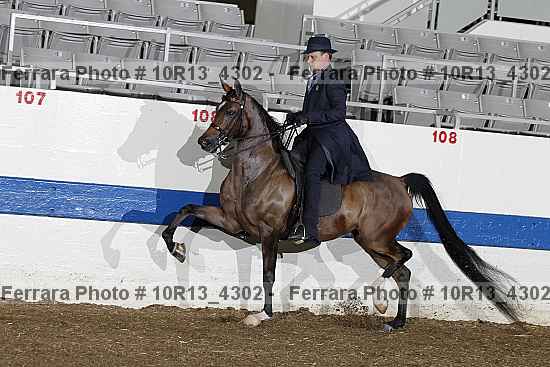 Proof 10r13_4302