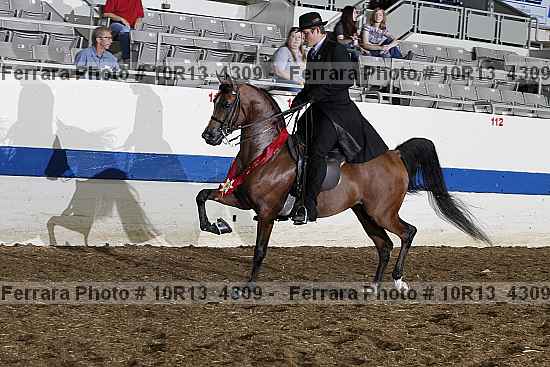 Proof 10r13_4309