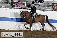 10r13_4443 proof