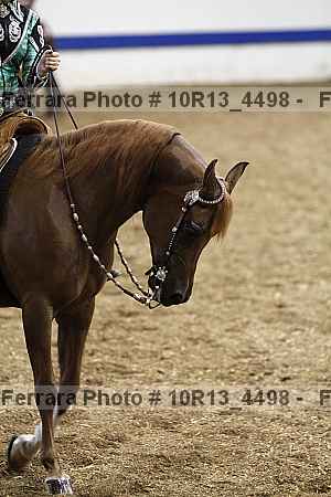 Proof 10r13_4498
